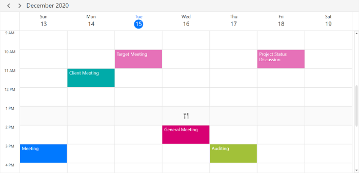 Special time region customization in WPF Scheduler