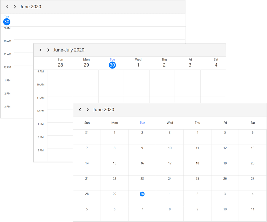 WPF Scheduler Views