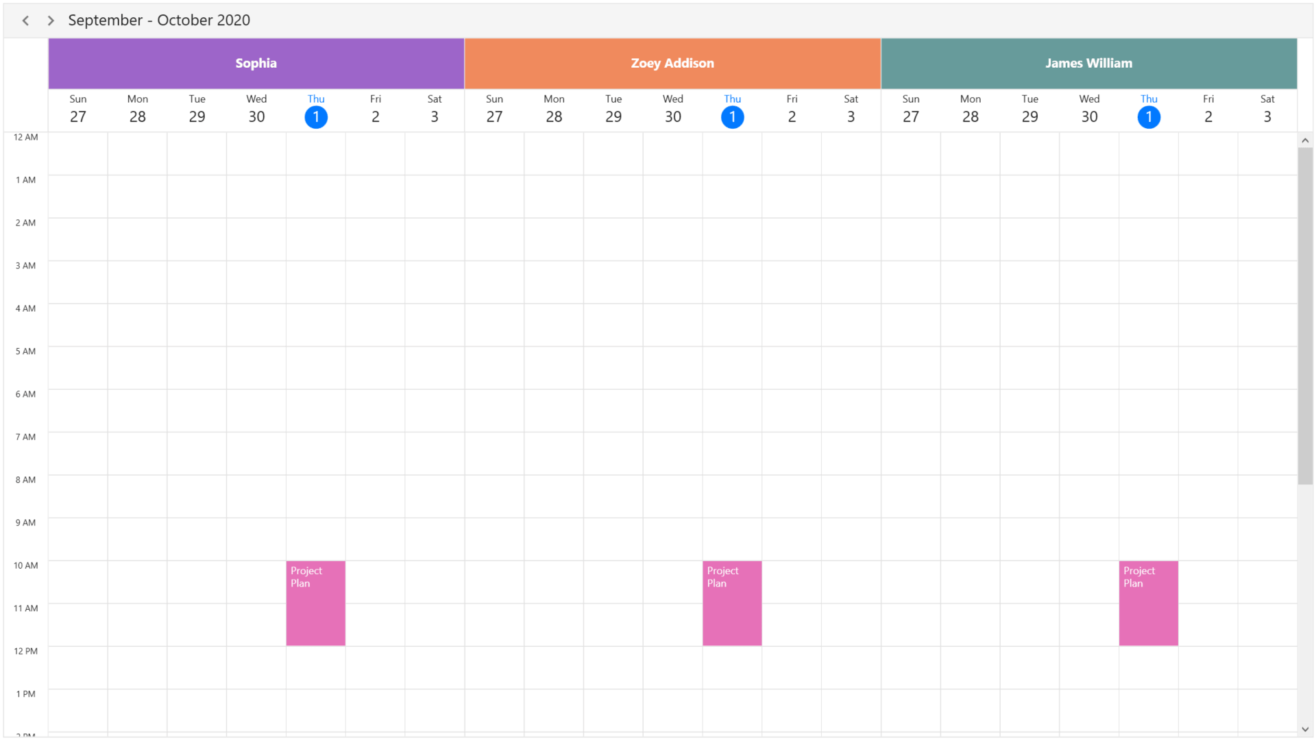 WPF scheduler Multiple resources appointment sharing in day view 