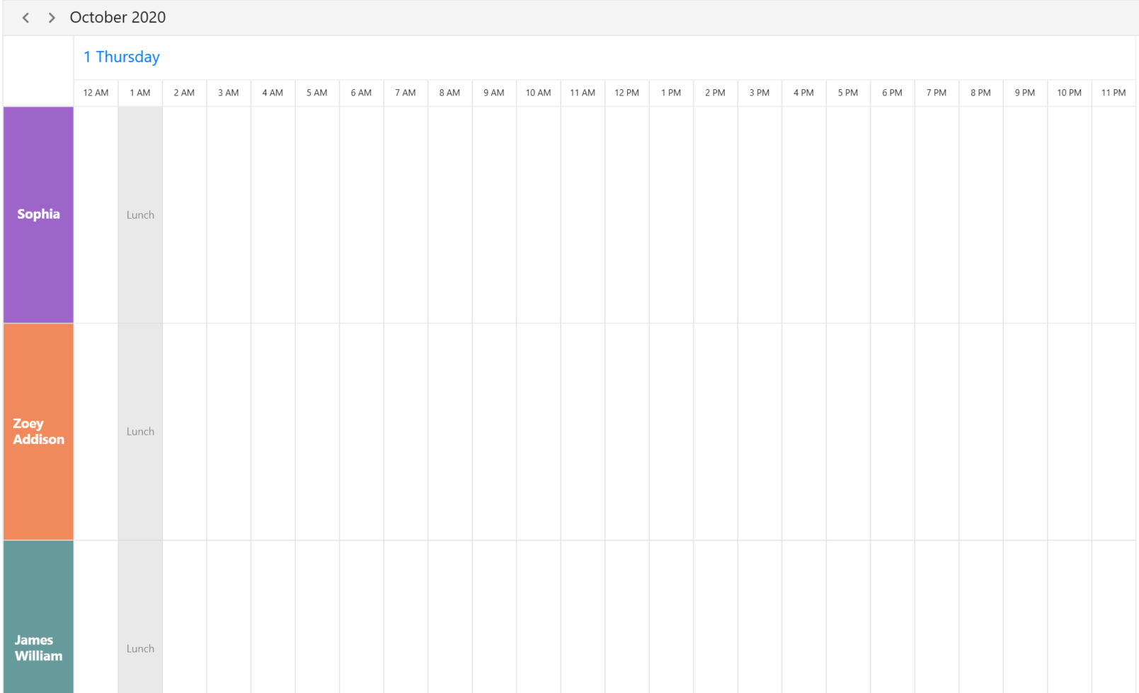 WPF scheduler resource Special Time Region in TimelineDay View 