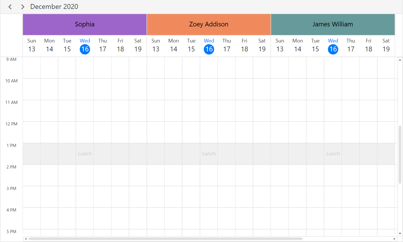 WPF scheduler resource Special Time Region in Day View 