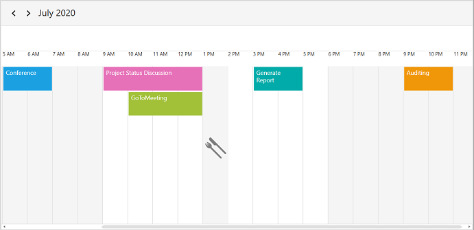 WPF Scheduler Special Time Region Customization
