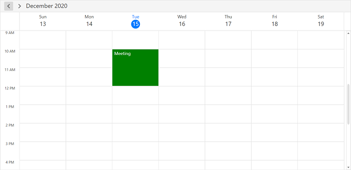 Custom Appointment in WPF Scheduler