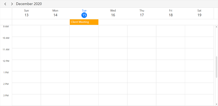 AllDay Appointment in WPF Scheduler
