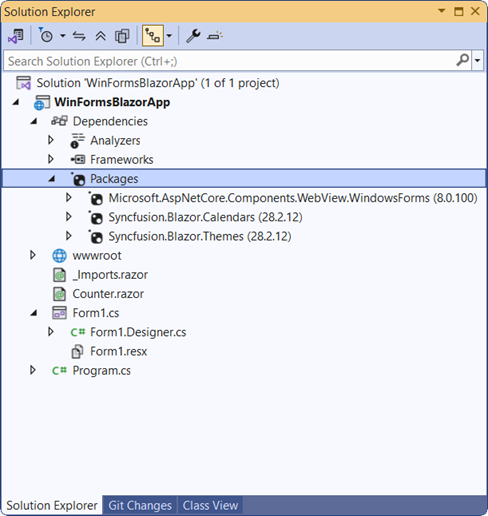 Winforms Blazor App NuGet package reference