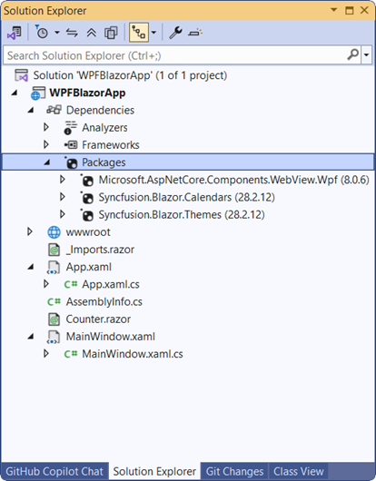 WPF Blazor App NuGet package reference