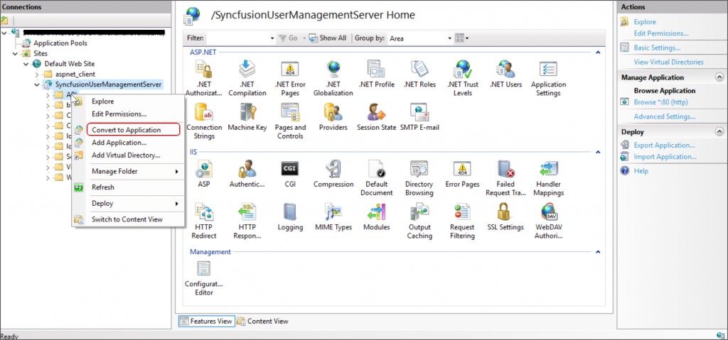 Host User Management Server as application in IIS - Convert to sub Application