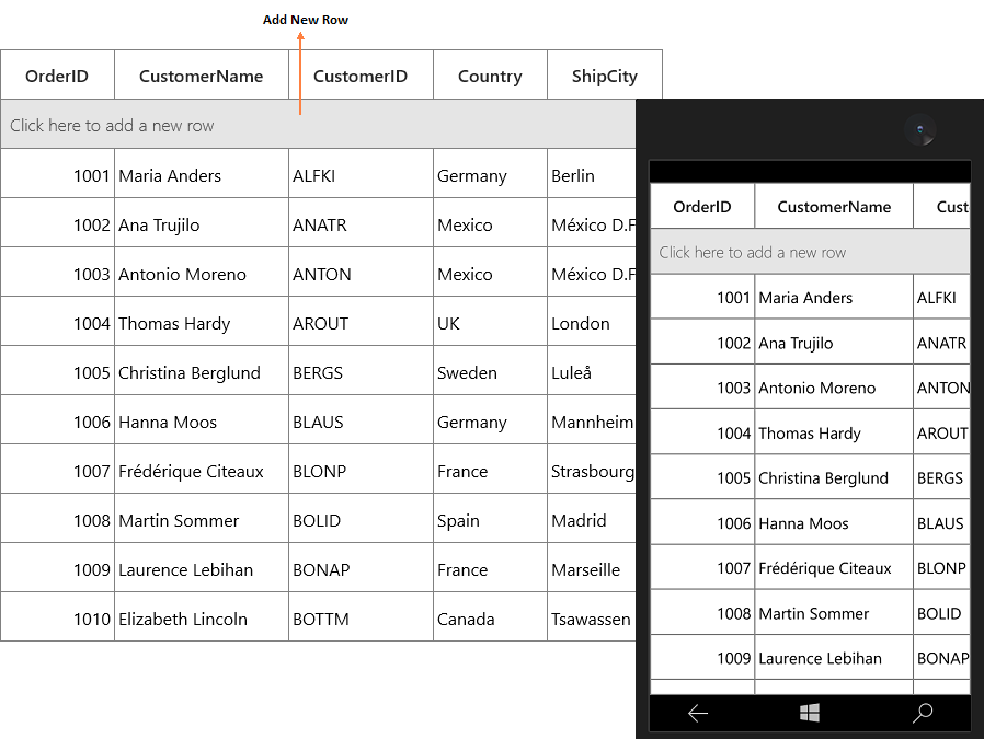 UWP DataGrid with add new row