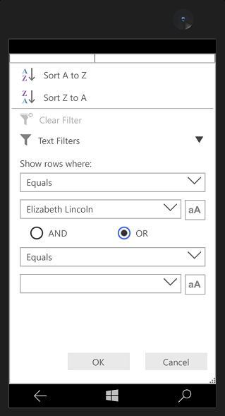 Advanced Filter View in DataGrid UWP