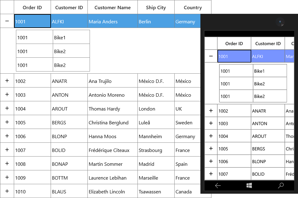 Hiding the row header in details view datagrid