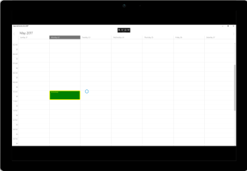 UWP SfSchedule displays applied styles for selec the appointment schedule