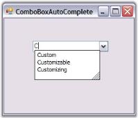Windows Forms ComboBoxAutoComplete Image43