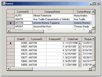 windows forms customer form