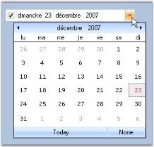 Overview of DateTimePickerAdv