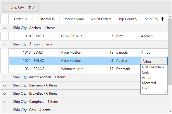 Winforms datagrid shows to display the customizing groupcaptiontext based on the displaymemberpath in datagrid windows form