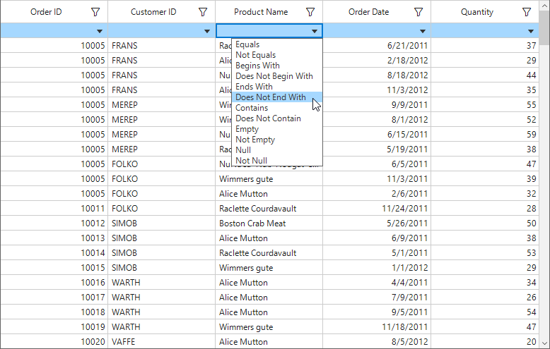 Windows forms datagrid showing filterrow with textbox editor options