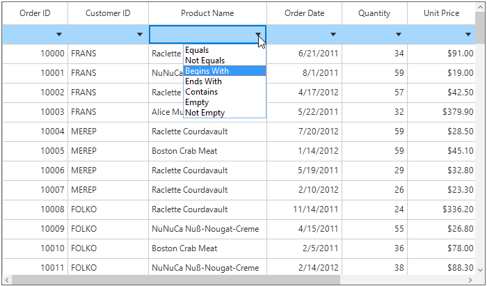 Windows forms datagrid showing blank filters