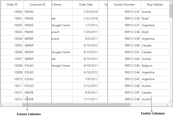 Windows forms datagrid showing frozen column and footer column
