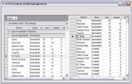 feature summary in WinForms GridControl