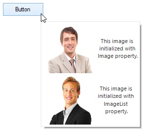 Shown added images into a tooltip in winforms tooltip