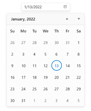 date-picker-with-expand-view-in-winui-calendar-date-picker