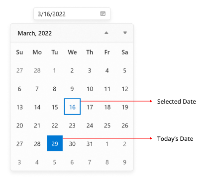 change-shape-of-today-and-selected-date-in-winui-calendar-date-picker