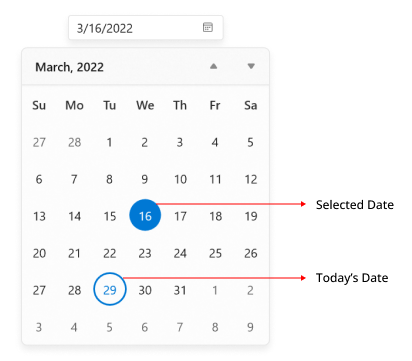 date-picker-with-highlight-today-selected-dates-in-winui-calendar-date-picker