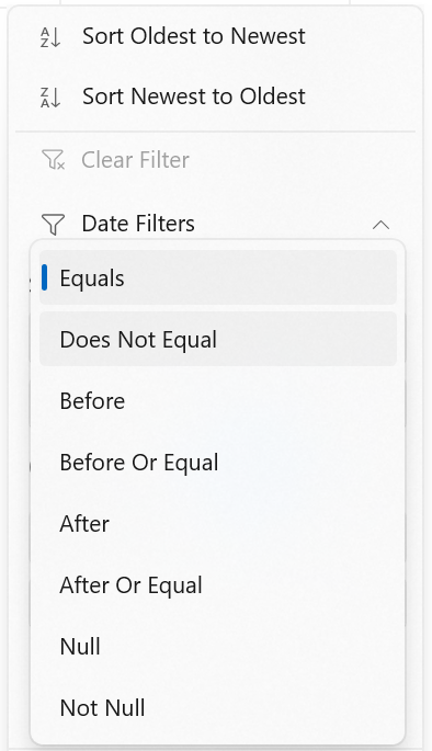 WinUI DataGrid displays Date Filter