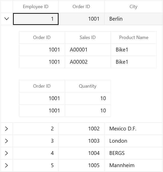 WinUI DataGrid displays Padding Customization of Master Details View