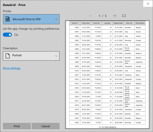 WinUI DataGrid displays Current DateTime in Printing