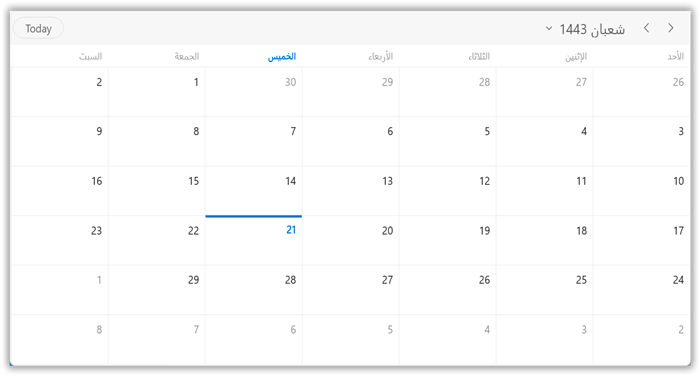 Calendar types in WinUI scheduer