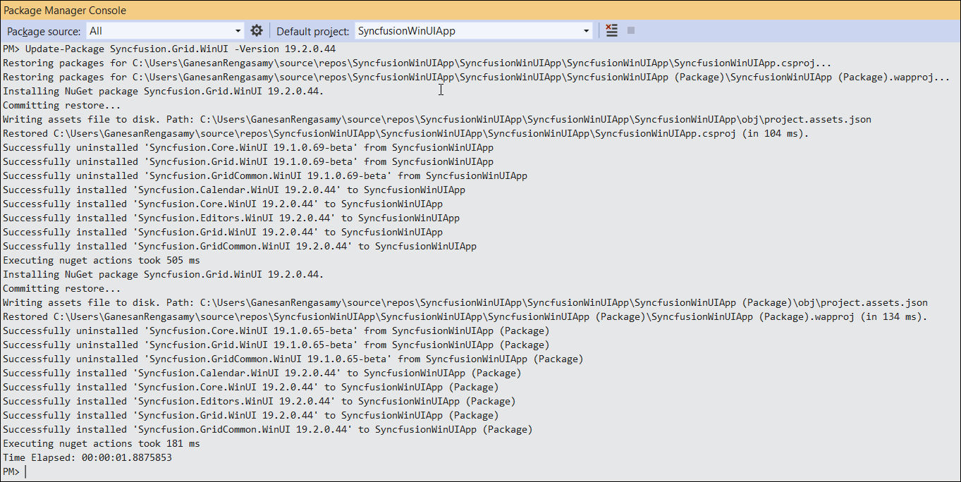 Package Manager Console Output