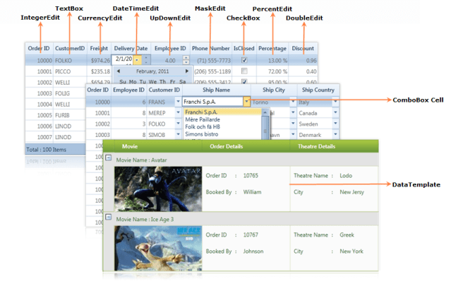 WPF Overview of cell types in GridData control
