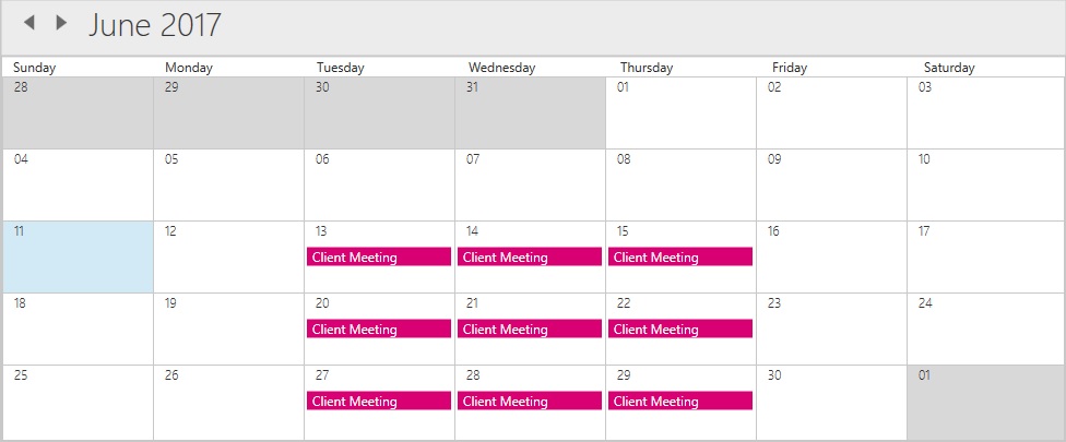 WPF scheduler custom recurrence appointment