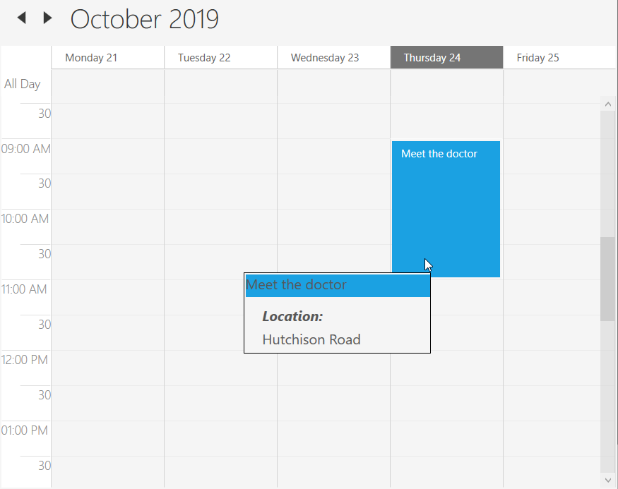 WPF Scheduler Tooltip template