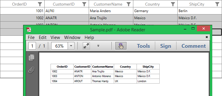 WPF DataGrid SelectedItems Exported to PDF
