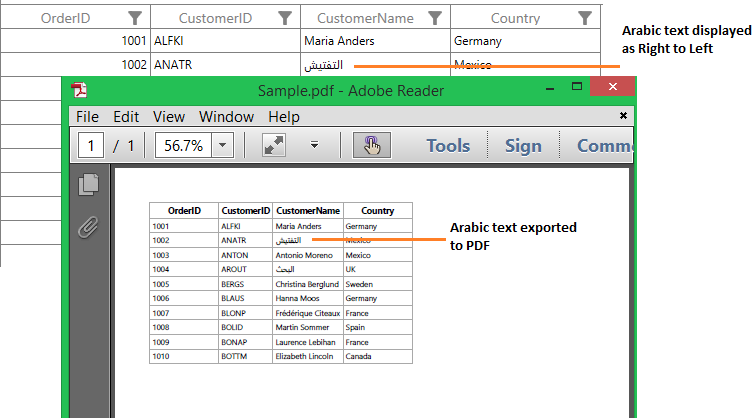 Exporting Middle Eastern Languages from WPF DataGrid to PDF File
