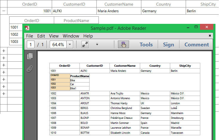 Customizing WPF DetailsView DataGrid Cells Exported to PDF File