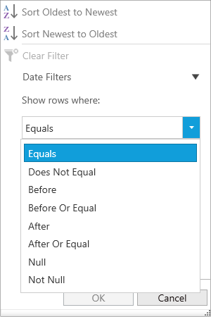 WPF DataGrid displays Date Filter
