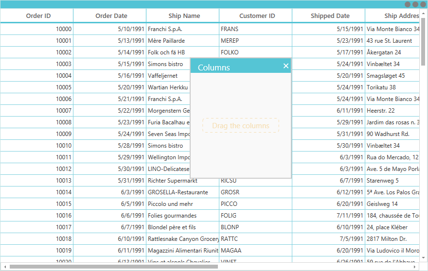 Customizing Column Chooser in WPF DataGrid