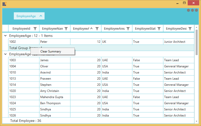 Context Menu for TableSummaryRows in WPF DataGrid