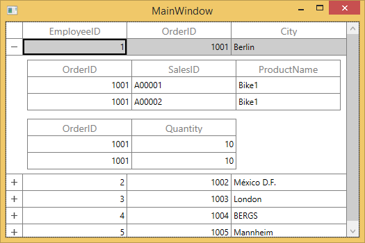 WPF DataGrid displays Master Details View based on Auto Generated Relations