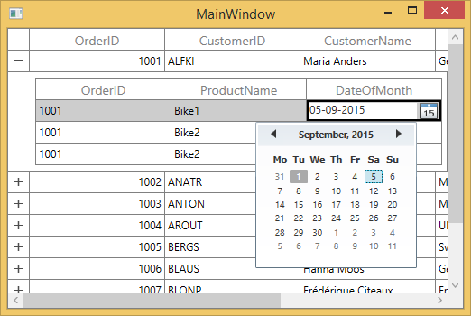 WPF DataGrid with Editing in Master Details View