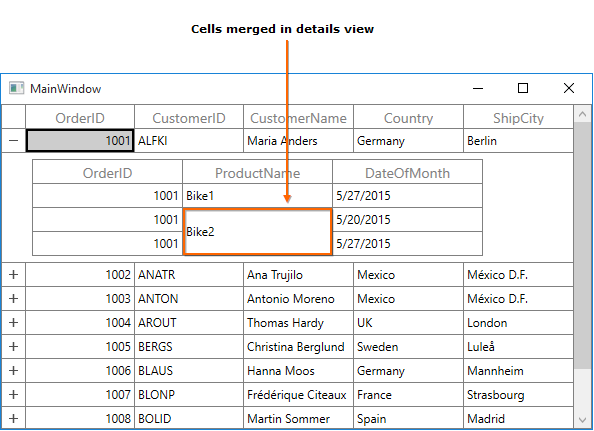 WPF DataGrid displays Merged Range of Cells in Master Details View