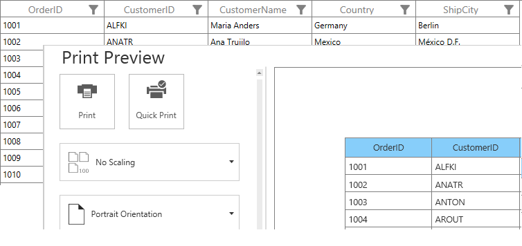 WPF DataGrid with Custom Style while Printing