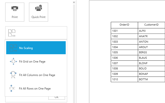 WPF DataGrid displays Print Scaling Options
