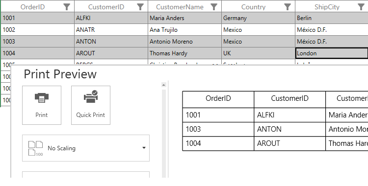 Printing Selected Rows in WPF DataGrid