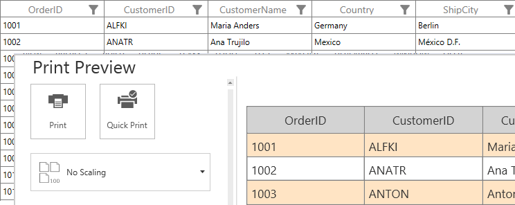 Changing Alternate Row Style while Printing in WPF DataGrid