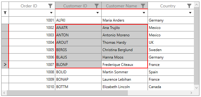 SelectionFrame Customization