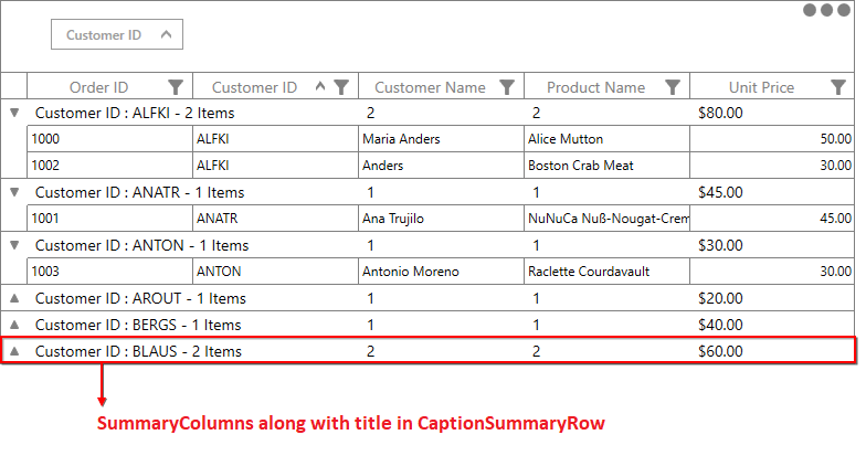 Caption Summary Rows with Title in WPF DataGrid